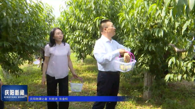 《庆阳新闻》2025-08-03